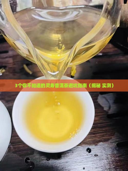灵寿普洱茶排名