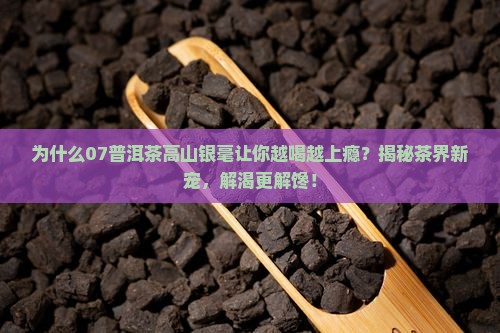 07普洱茶高山银毫