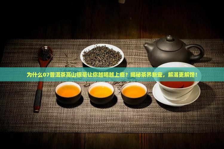 07普洱茶高山银毫