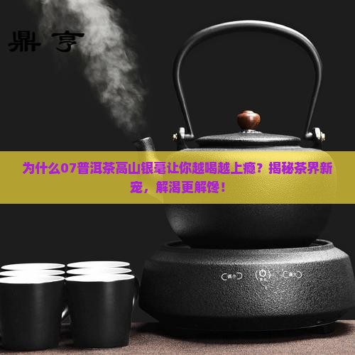 07普洱茶高山银毫