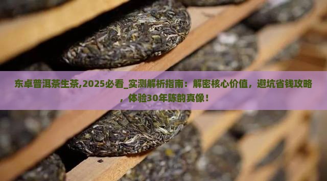 东卓普洱茶生茶