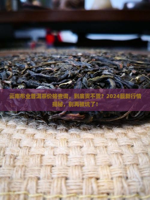 云南布业普洱茶价格查询
