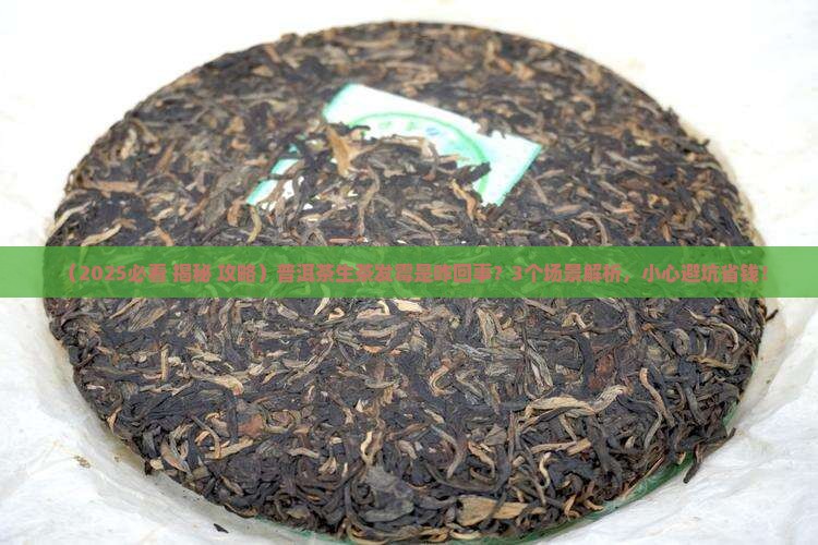 普洱茶生茶发霉是怎么样