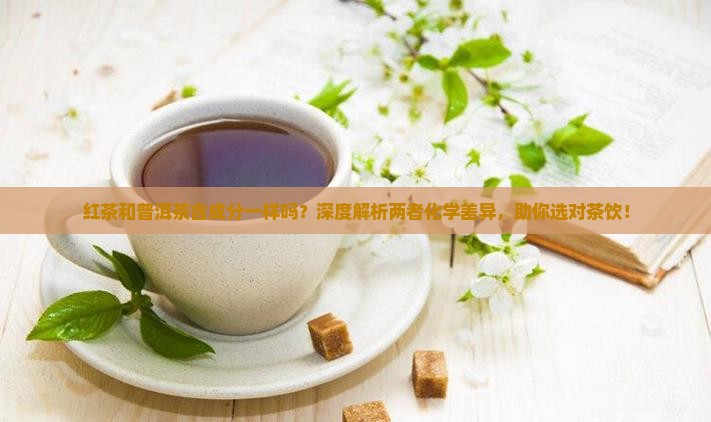 红茶和普洱茶含成分一样吗