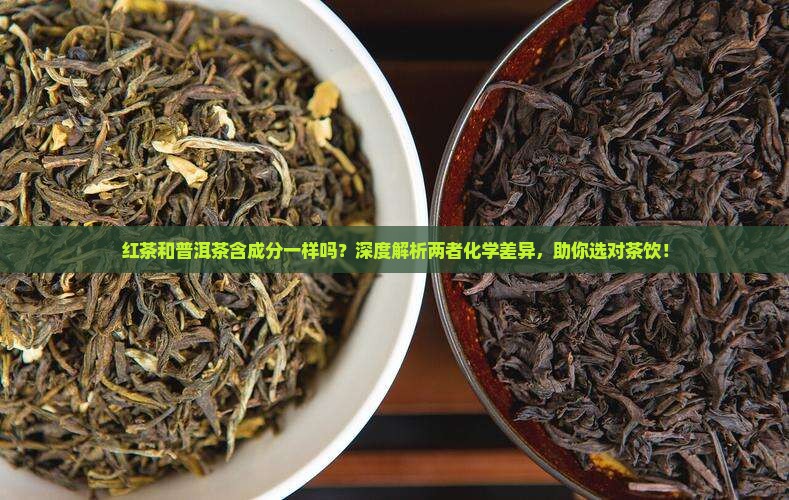 红茶和普洱茶含成分一样吗