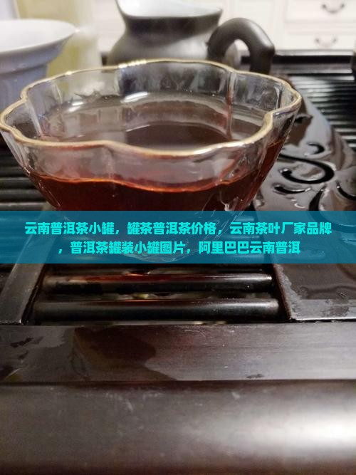 云南普洱茶小罐