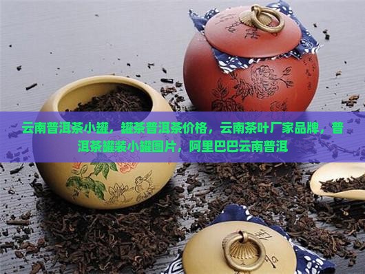 云南普洱茶小罐