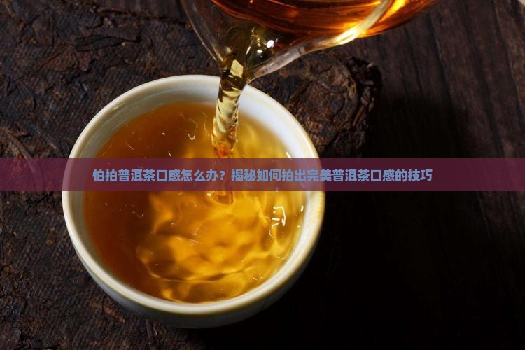 怕拍普洱茶口感怎么办