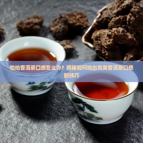 怕拍普洱茶口感怎么办