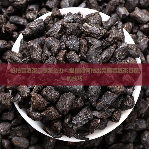 怕拍普洱茶口感怎么办