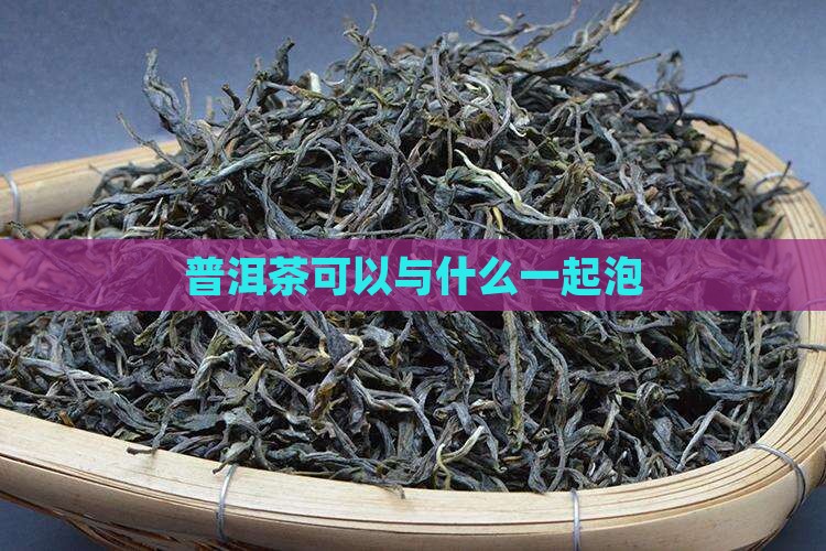 普洱茶可以与什么一起泡