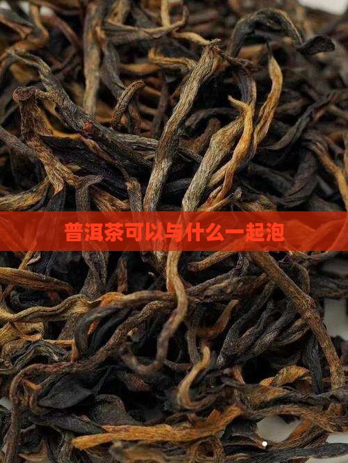 普洱茶可以与什么一起泡
