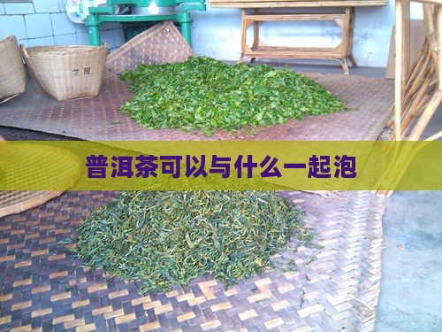 普洱茶可以与什么一起泡
