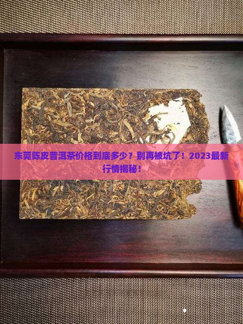 东莞陈皮普洱茶价格