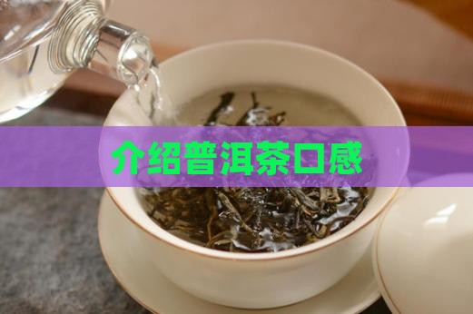 介绍普洱茶口感