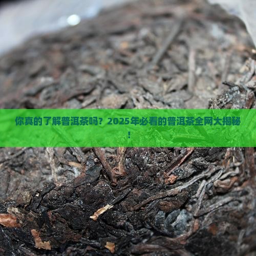 各种普洱茶都有哪些特点