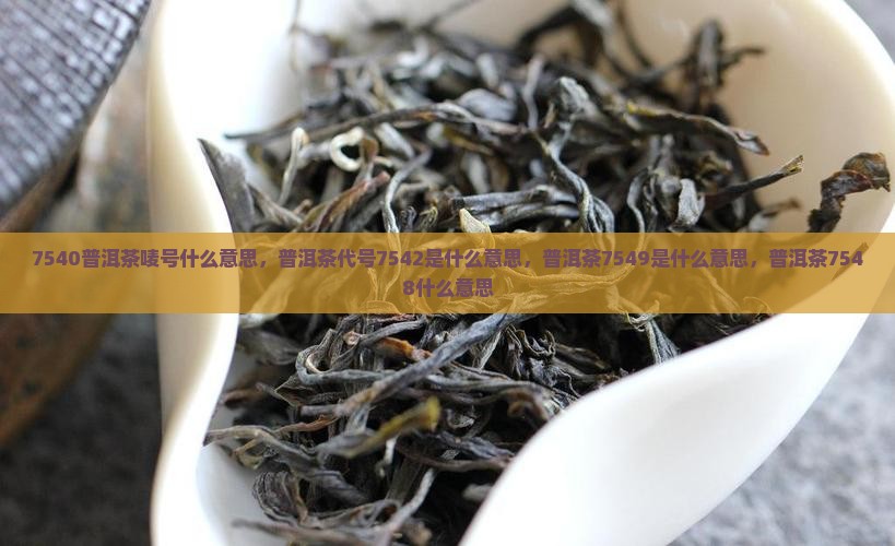 7540普洱茶唛号什么意思