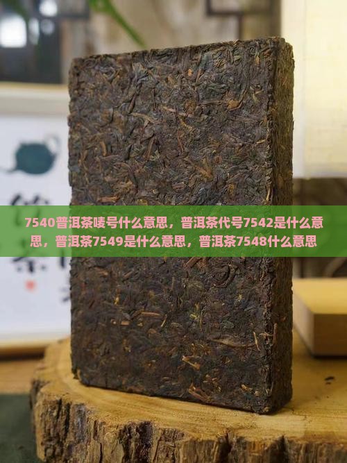 7540普洱茶唛号什么意思
