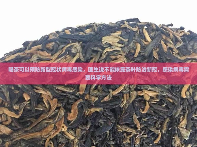 喝茶能防治新型肺炎吗