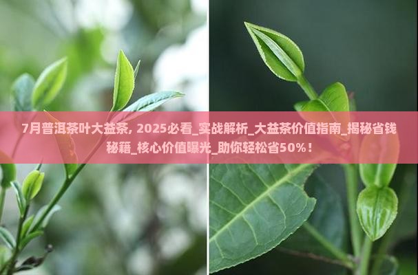7月普洱茶叶大益茶