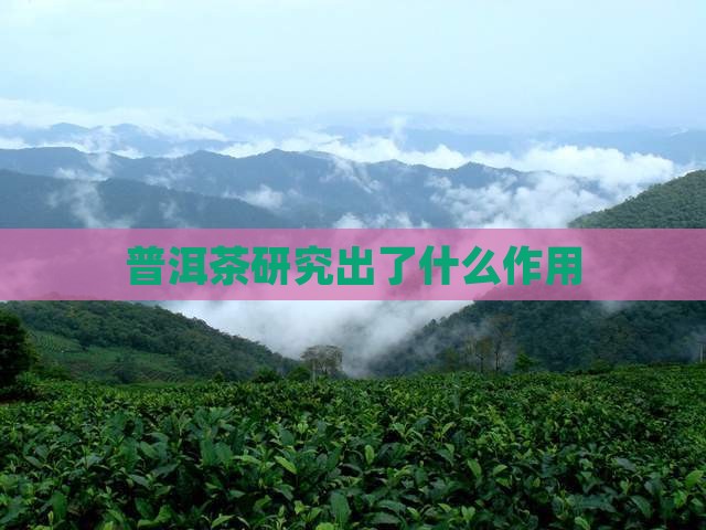 普洱茶研究出了什么作用