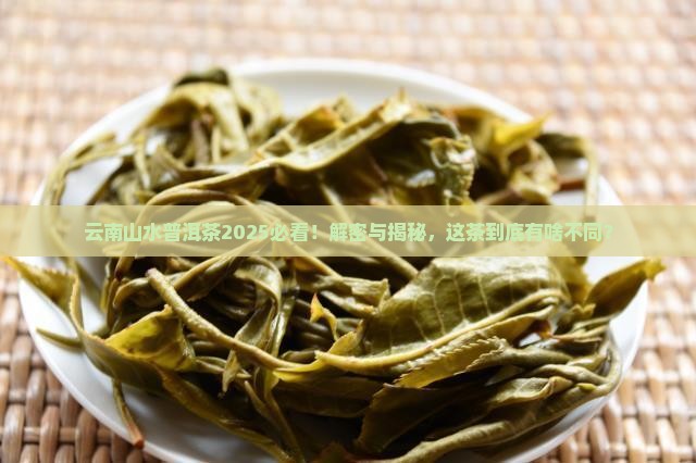 云南山水普洱茶