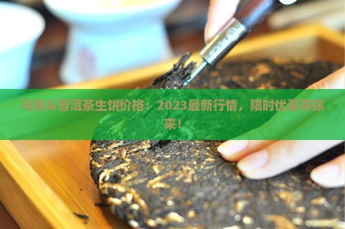 马锅头普洱茶生饼价格