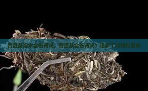普洱茶泡水会伤肾吗