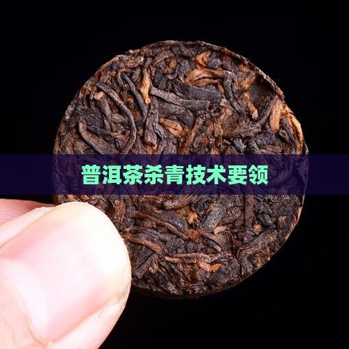 普洱茶杀青技术要领