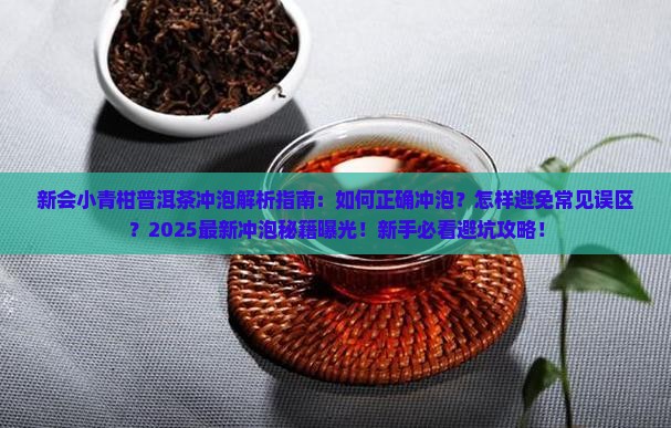 新会小青柑普洱茶冲泡