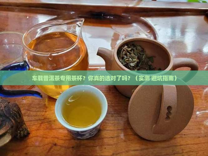 车载普洱茶专用茶杯