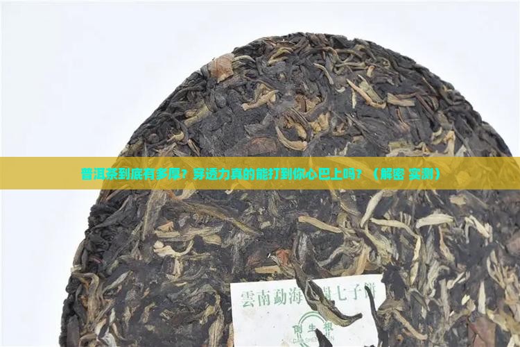 普洱茶厚度和穿透力