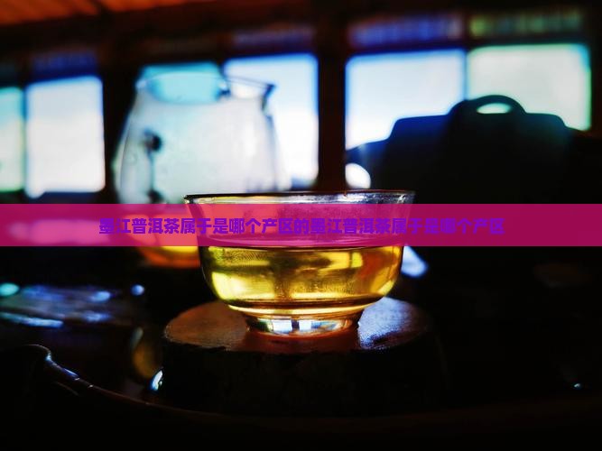 墨江普洱茶属于是哪个产区