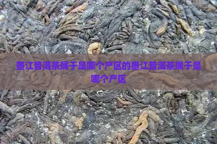 墨江普洱茶属于是哪个产区