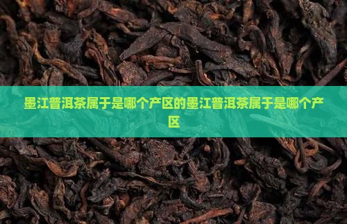 墨江普洱茶属于是哪个产区