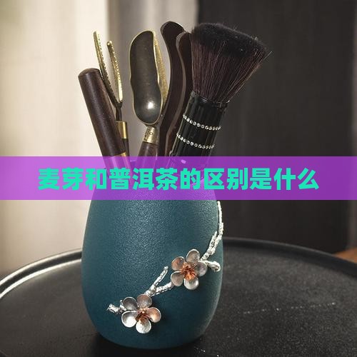 麦芽和普洱茶的区别是什么