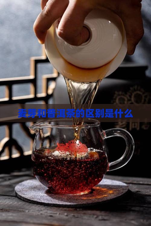麦芽和普洱茶的区别是什么