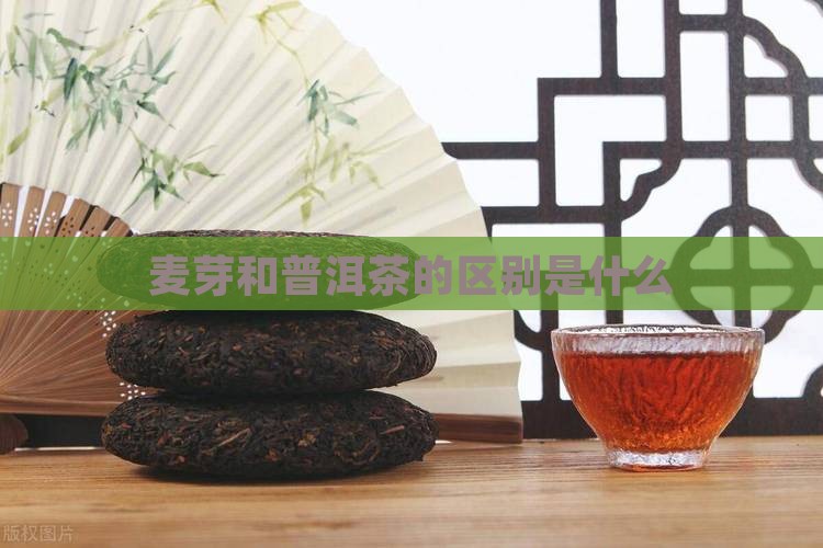 麦芽和普洱茶的区别是什么