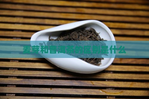麦芽和普洱茶的区别是什么