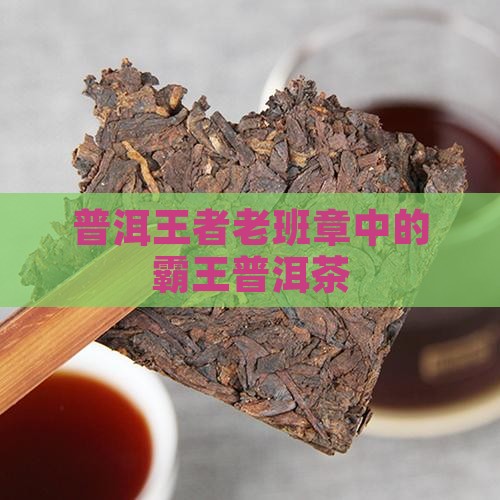 普洱界王者老班章
