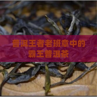 普洱界王者老班章