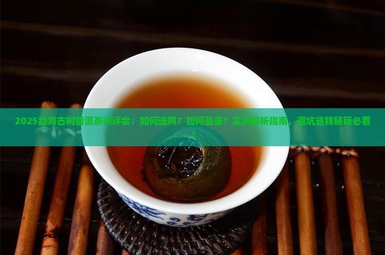 勐海古树普洱茶测评会