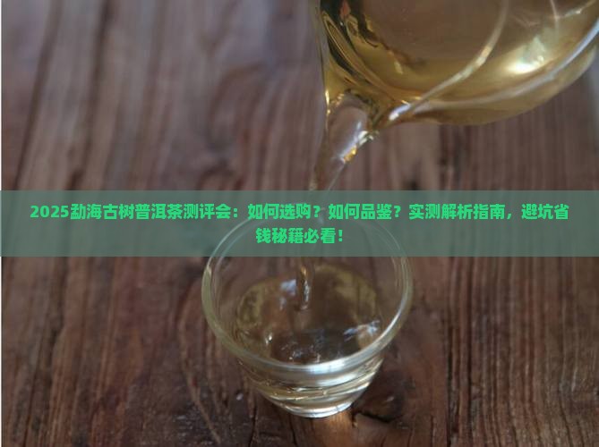 勐海古树普洱茶测评会