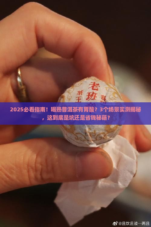 喝熟普洱茶有胃酸