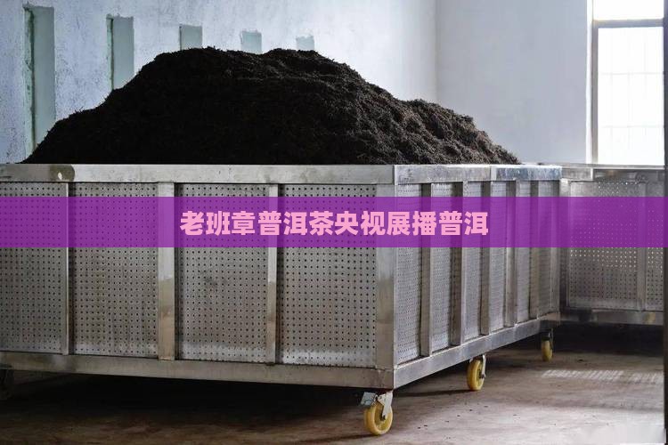 老班章普洱茶央视展播