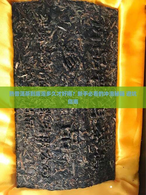 熟普洱茶一般泡多久才能喝