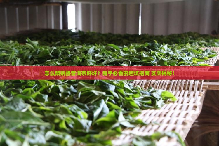 怎么识别熟普洱茶好坏
