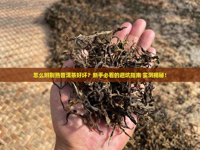 怎么识别熟普洱茶好坏