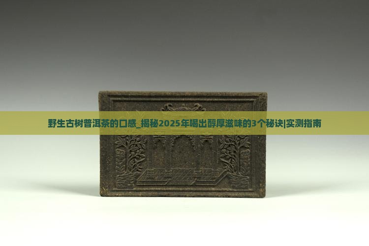 野生古树普洱茶的口感