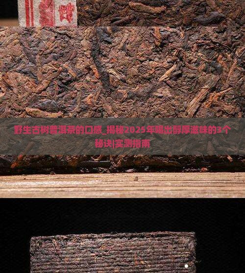野生古树普洱茶的口感